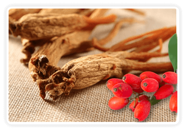 Berberine and Korean Red Ginseng